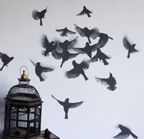 Drôles d’oiseaux