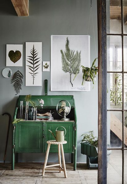 Tendance végétale : l’herbier