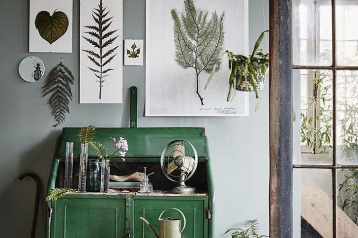 Tendance végétale : l’herbier