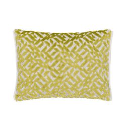 Coussin Dufrene