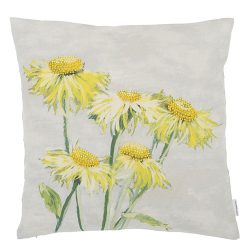 Coussin