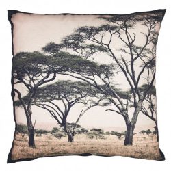 Coussin