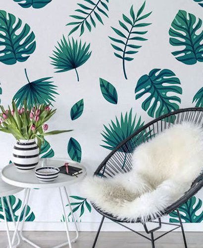 Monstera mania