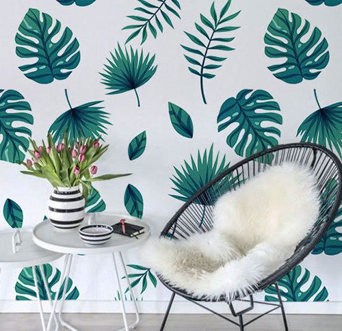 Monstera mania