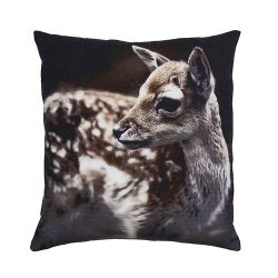 Coussin