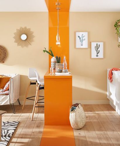Orange carotte
