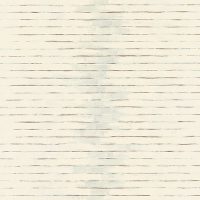  AST NT 001 01