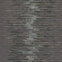  AST NT 001 10