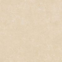  AUBIERES565