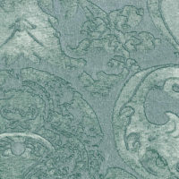 ACQUA
 23013-005