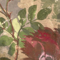 AUTUNNO
 23015-002