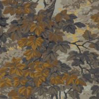 ZOFFANY
 Darnley - 312856