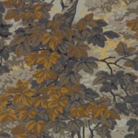 ZOFFANY
 Darnley - 312856