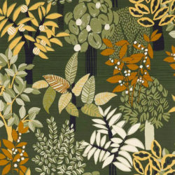 Casamance