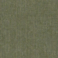  SCAL8897