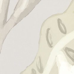 Papier peint