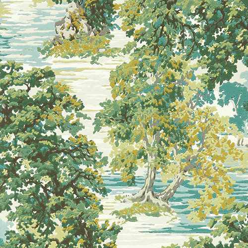 ANCIENT CANOPY
