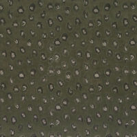 CASAMANCE
 10850547