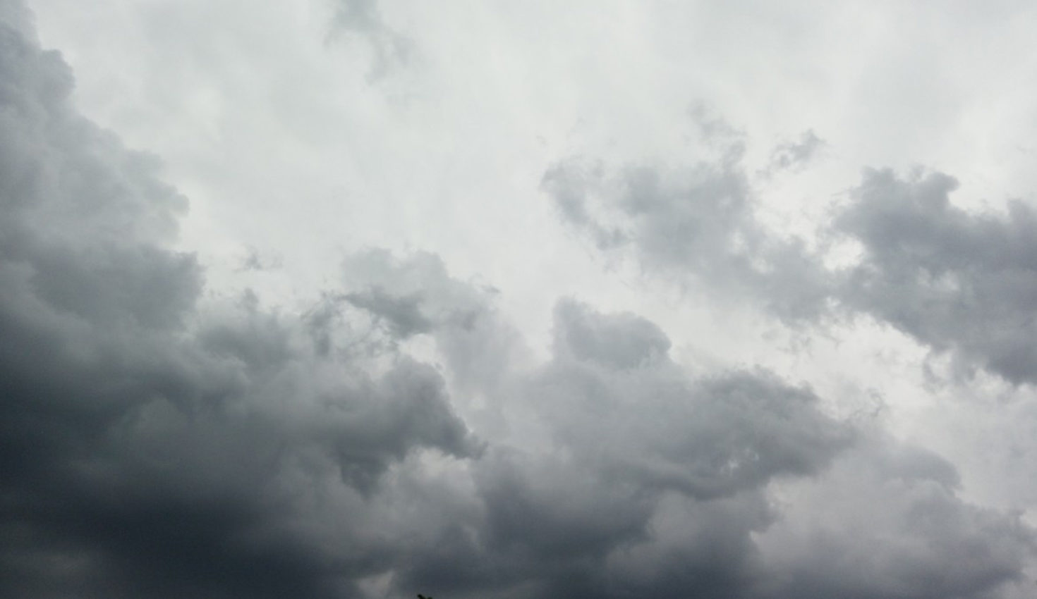 Le bleu gris sourit