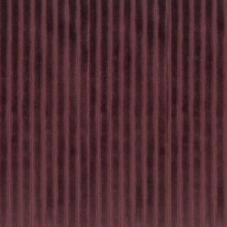 Tissu