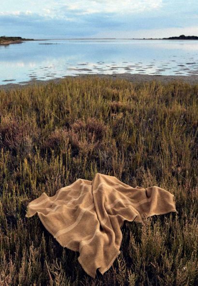 Focus collection tissus