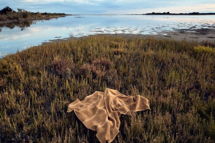 Focus collection tissus