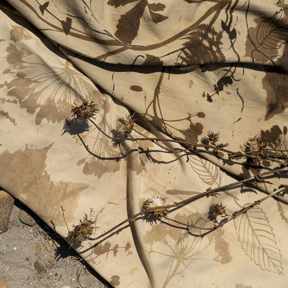 Le bruit des feuilles