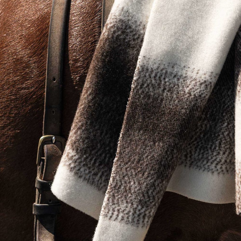 Les bergers endormis