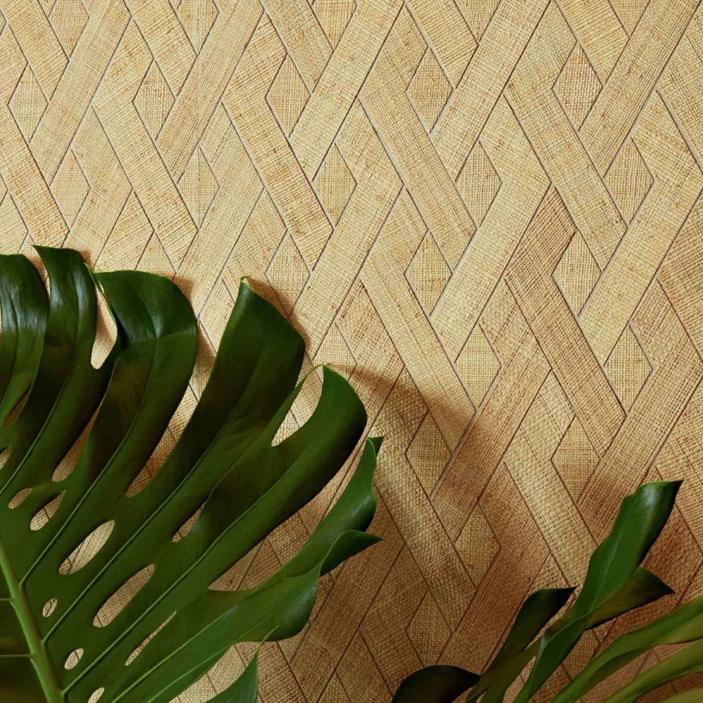 Entrelazados