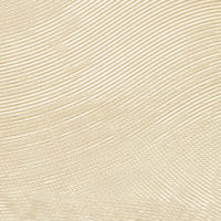  RM 1119 05